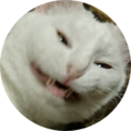0ee99735 f5a8 4f0d 8aa5 e81e9ea928ae