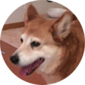 58d77824 72bd 4c52 ae57 fdeefc0f82fb
