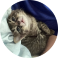 6b4b804c 5682 4cdd bfd9 f89f7dd234f8