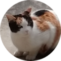 7eb1e0d1 3528 44e0 b19a 25eb8ea16d1a