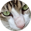 8410bdf4 e626 4eb3 a8e7 7cfdf3d2cdc2
