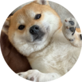 91a6ba3b 2558 44e5 bace adfcac919d70