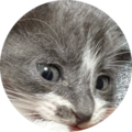 9c623df9 4283 4801 b43d c9ba15927117