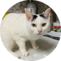 A4bd950f 2ed0 4498 ba73 764c43ad1a57