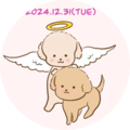 Aab01d78 711c 4bbc b3cc 0cdc8e8a1831