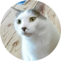 B3c3c43c 613b 4efe bf82 af37c9e1c0e9