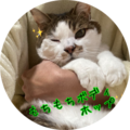 Db4dcff3 8d3d 452e b87f 7ae172d09da8