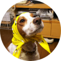 Eae51db9 7ed8 4dbe ac40 8eb3da419706