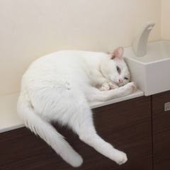 White