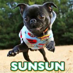 Dokonoko サンサン