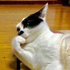 White