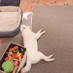 White
