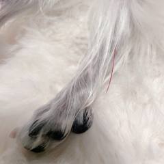 White