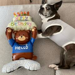 Dokonoko - イッキュウ