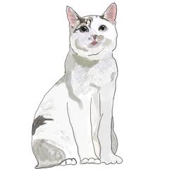 White