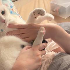 White