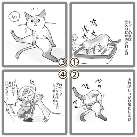 Dokonoko ちゃこ ちゃこ ネコラ