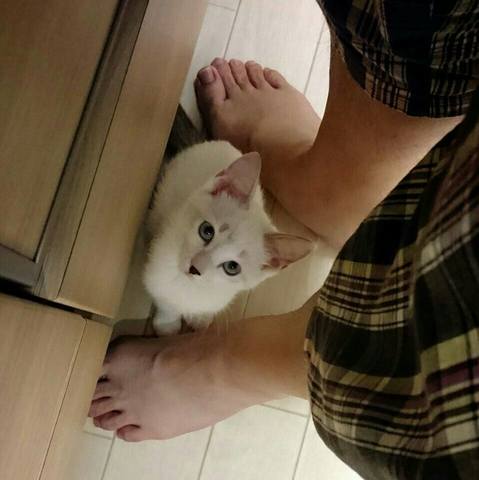 White