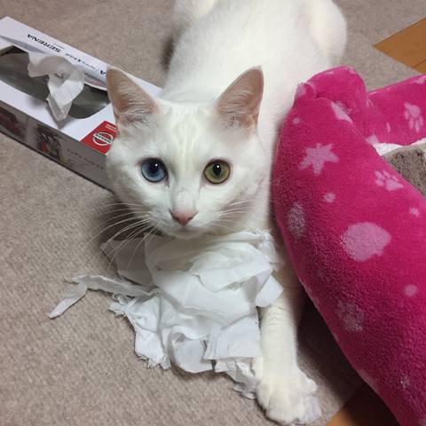 White