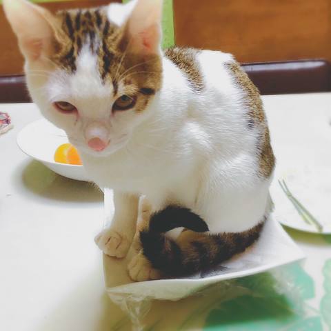 White