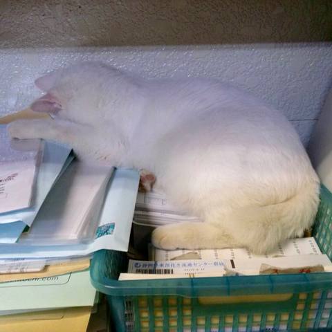White