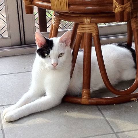 White
