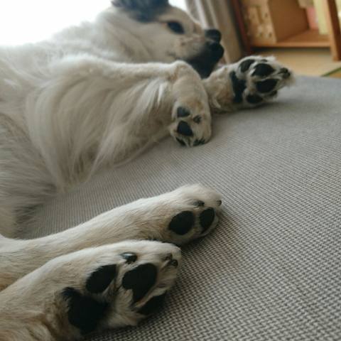 White