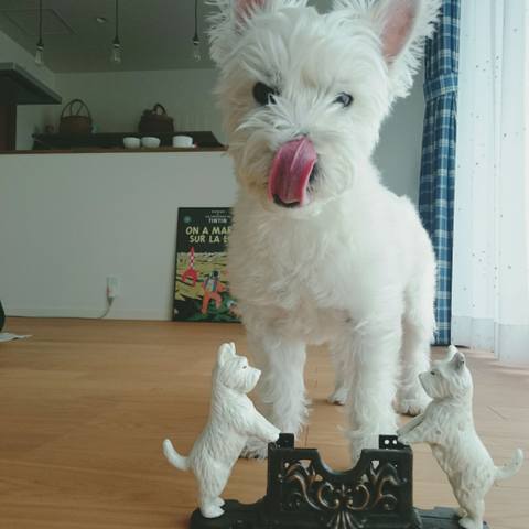 White