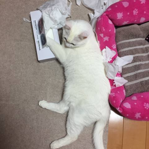 White