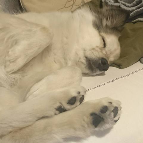 White
