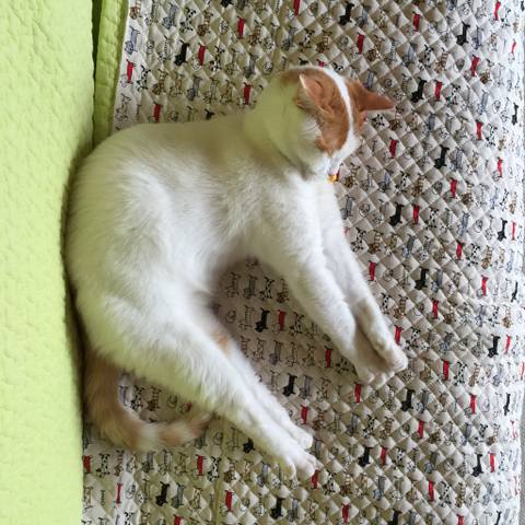 White