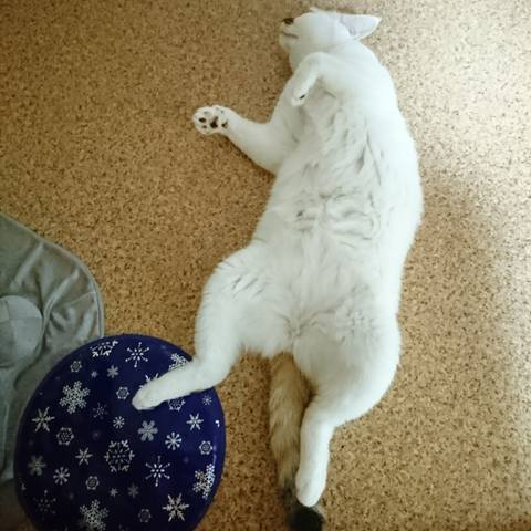 White