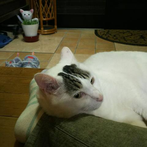 White