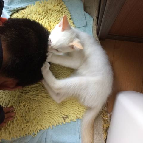 White