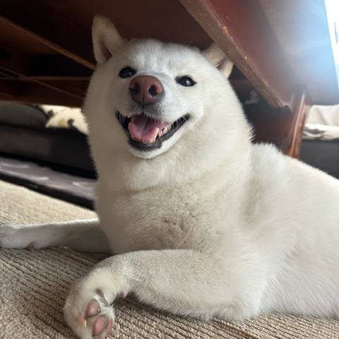 White