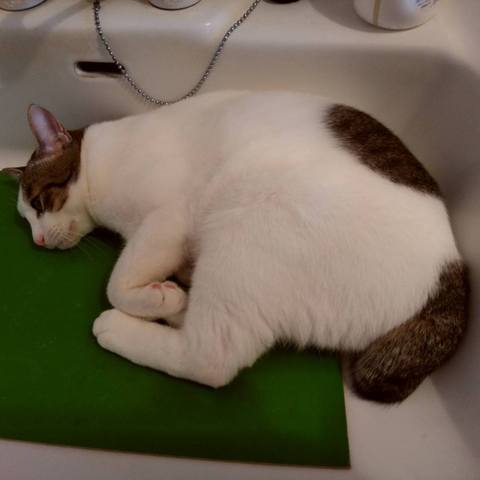 White