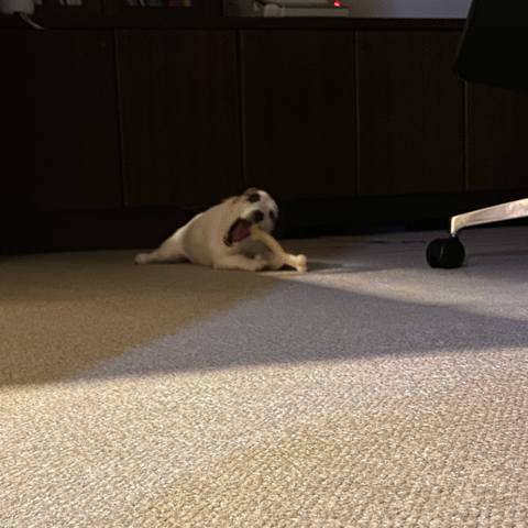 White