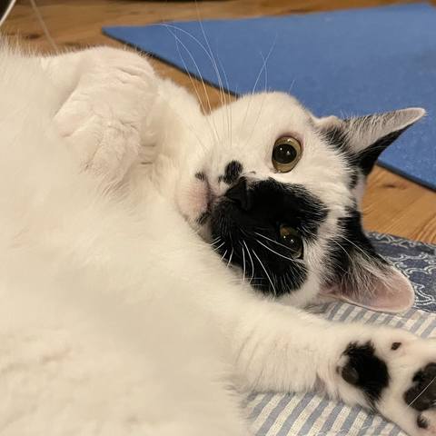 White