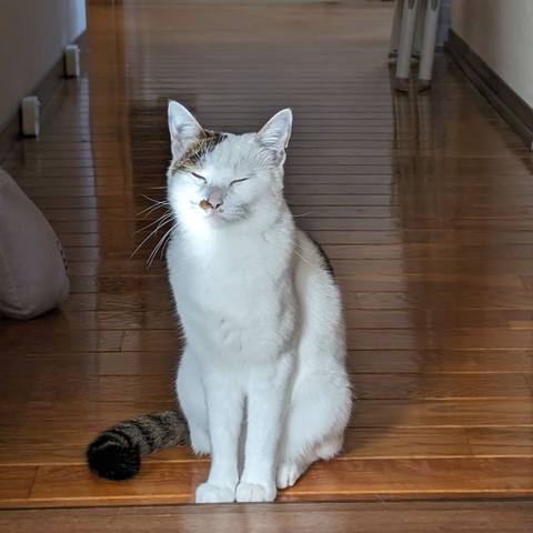 White