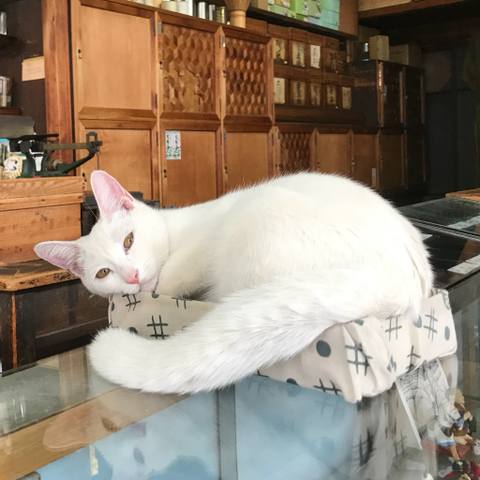White