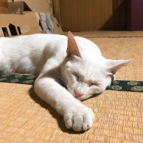 White