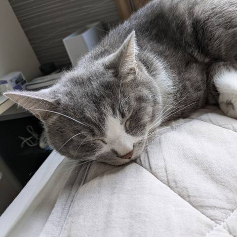 White