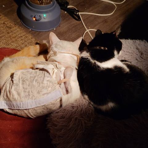 White