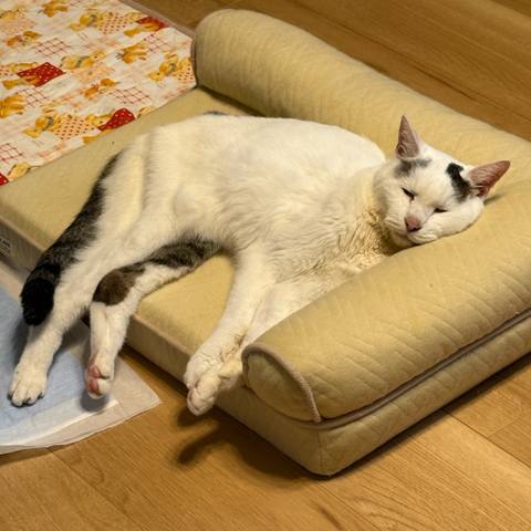 White