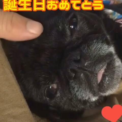 Dokonoko サンサン