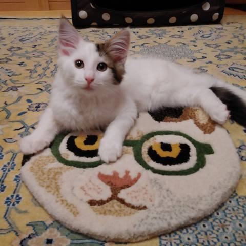 White