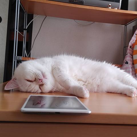 White
