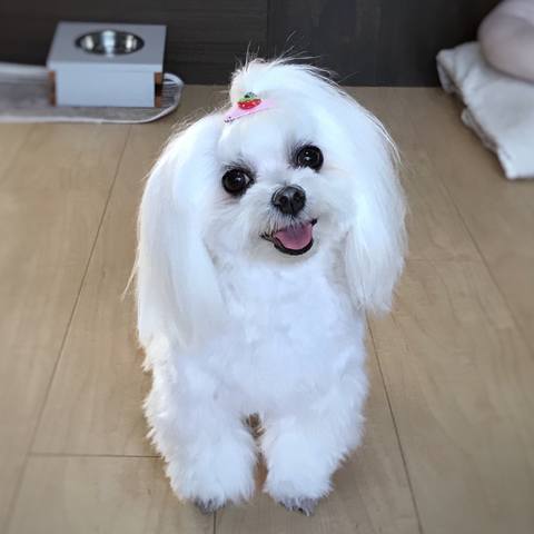 White