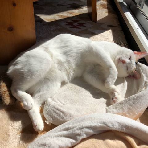 White