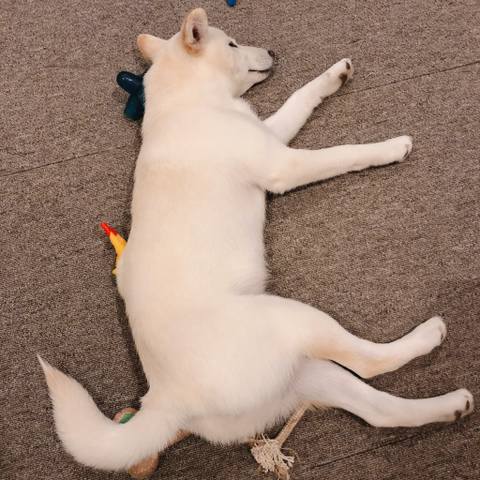 White